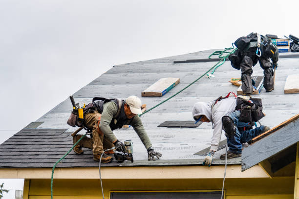 Professional Gutter Installation technician working in Camden, NJ